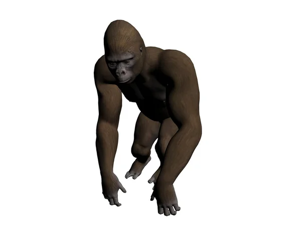 Gorila — Fotografia de Stock
