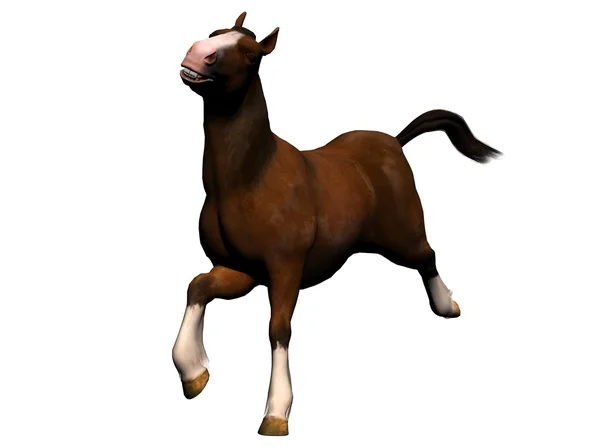 Лошадь — стоковое фото