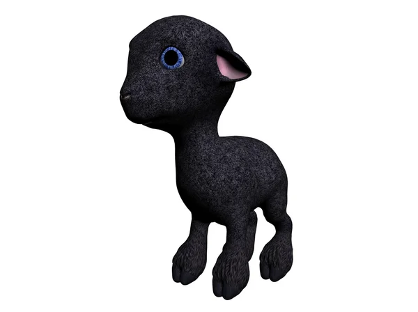 Zwarte schapen — Stockfoto