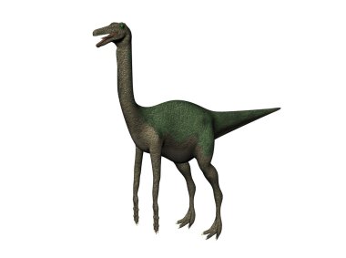 Gallimimus