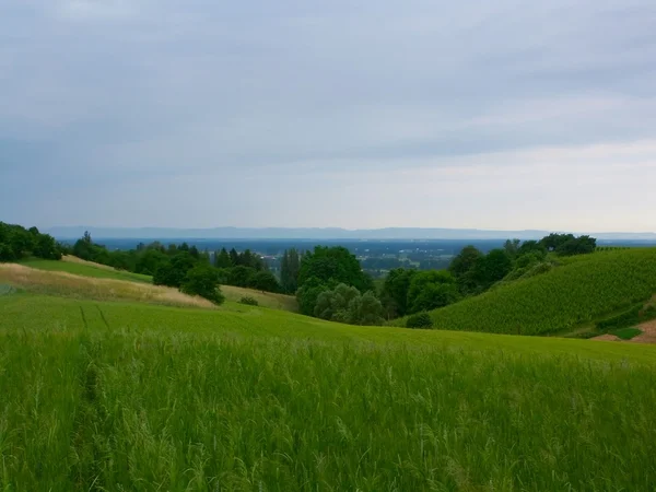 Vista da colina — Fotografia de Stock
