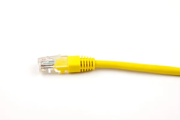 stock image LAN Cable