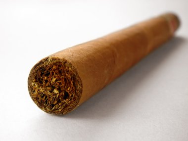 Close-up of cuban cigar clipart