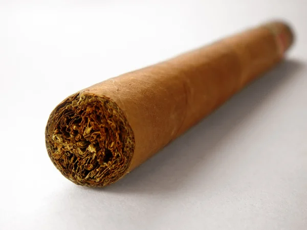 Primer plano del cigarro cubano — Foto de Stock