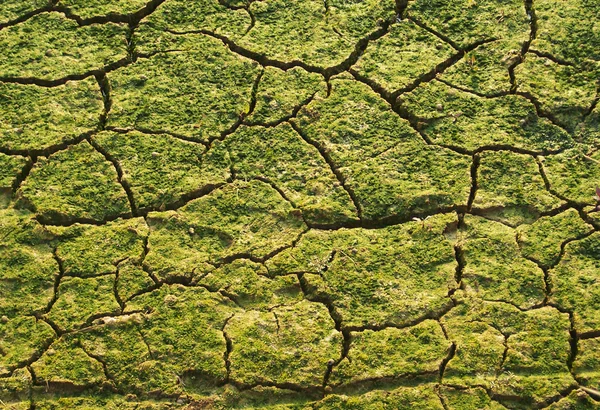 Stock image Cracked field