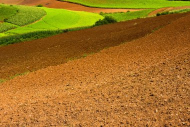 Ploughed fields clipart