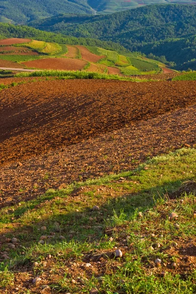 Farbenfrohe Landschaft von hongtudi (1) — Stockfoto