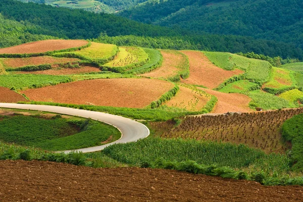 雲南省、中国 (1 で美しい風景) — ストック写真