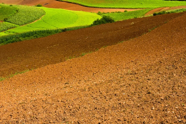 Ploughed fields — Stock Photo, Image