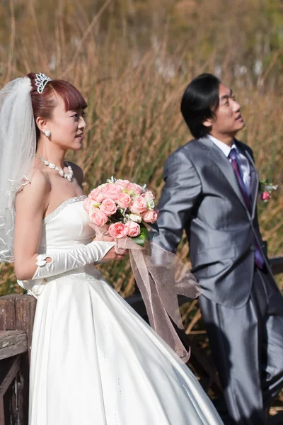 Braut und Bräutigam schauen auf (Portrait)) — Stockfoto