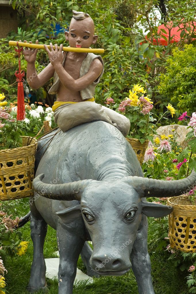 Asian boy with flute on water buffalo — Stock Photo © stockhouse 3183848