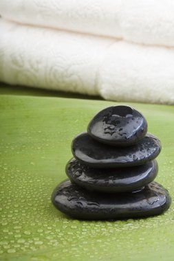 Spa hotstones üzerinde yaprak yeşil ıslak