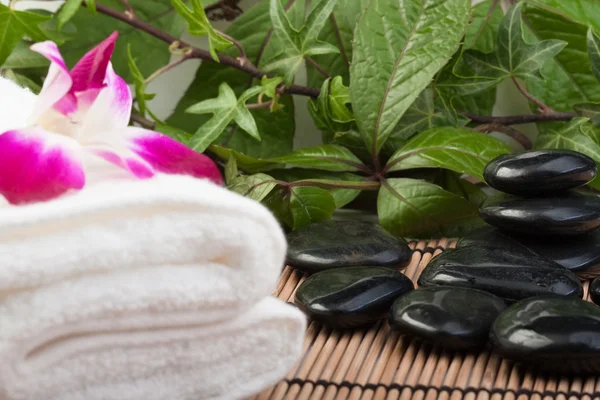Tropiska massage — Stockfoto