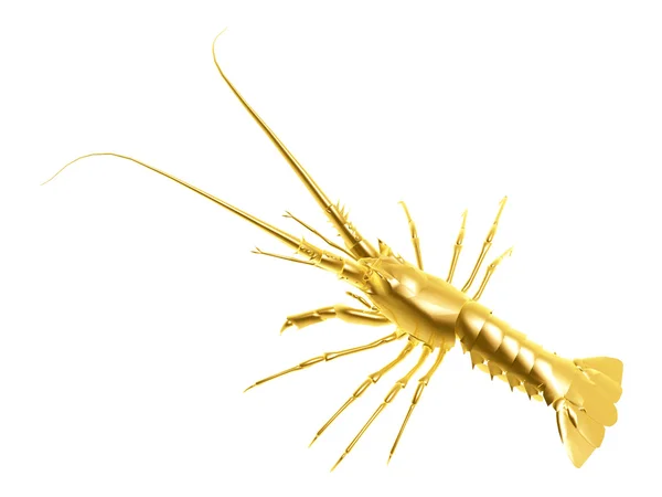 Złoty homara — Zdjęcie stockowe
