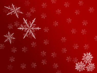 Red flake back clipart