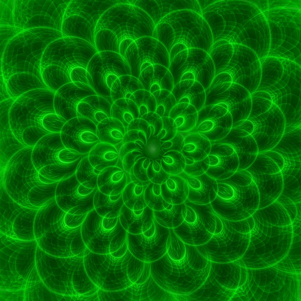 Zelený peacoke pírko květ — Stock fotografie