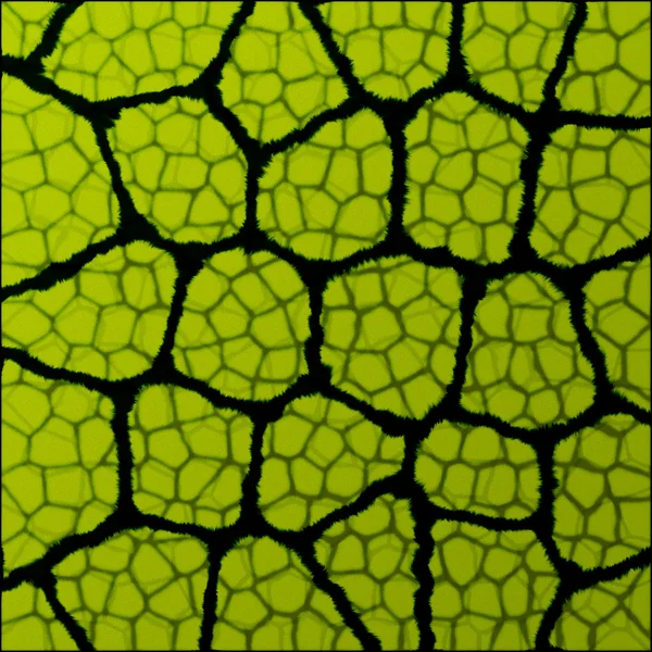 Макрос leaf текстури — стокове фото