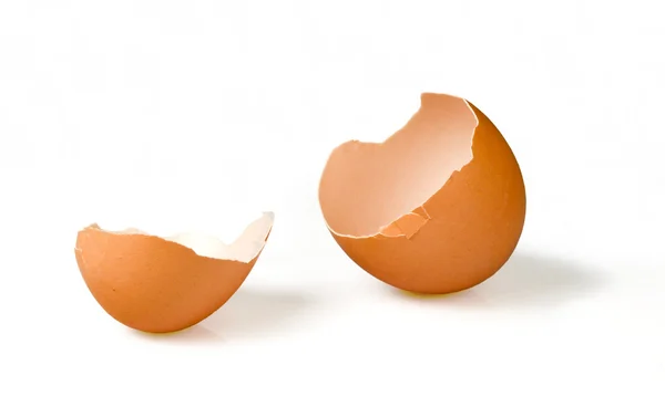 stock image Broken empty egg