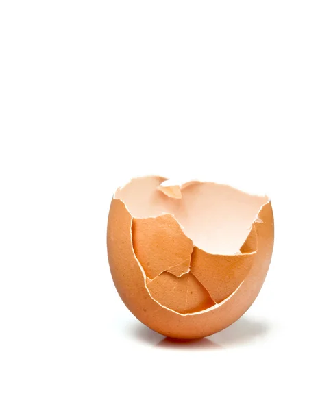 Stock image Broken egg