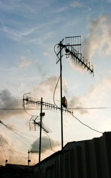 Stock image Antennae