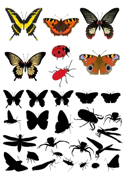 Silueta de insectos y conjunto de imágenes — Vector de stock