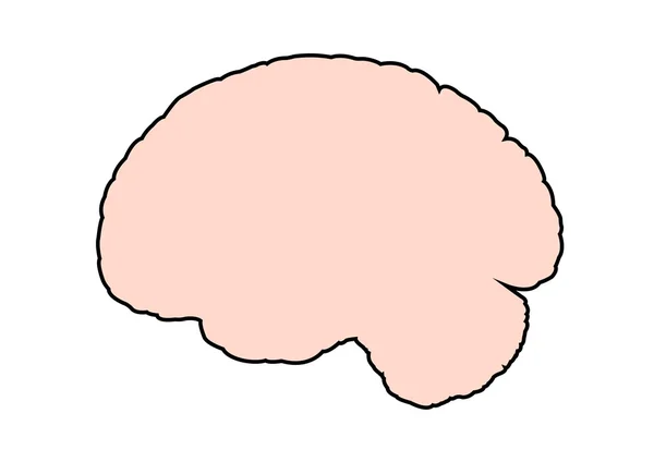 Brain silhouette — Stock Vector