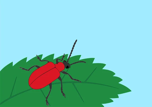 Red bug op blad — Stockvector