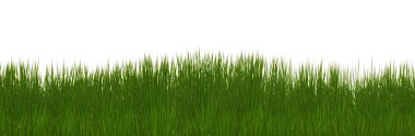 Green grass clipart