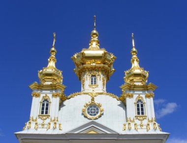 Peterhof Sarayı