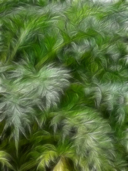 Plant life — Stock Photo, Image