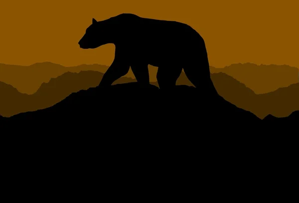 Bear on horizon — Stock Photo, Image