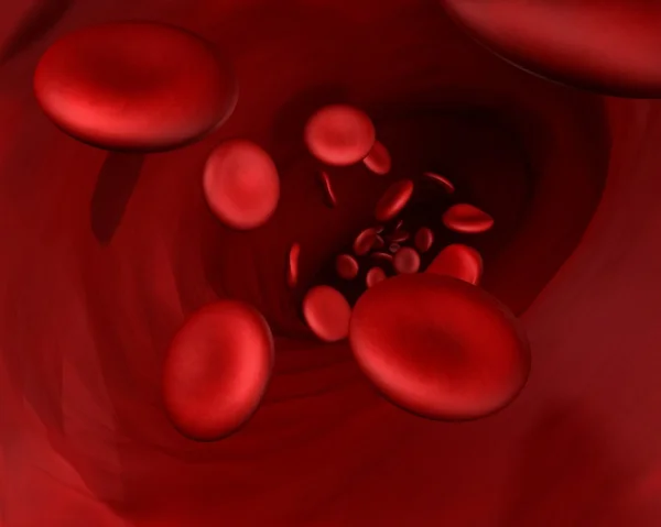 Glóbulos sanguíneos — Foto de Stock