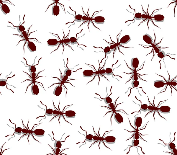 Seamless ants — Stock Photo, Image