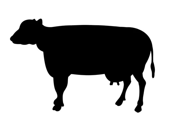Αγελάδα Εικόνα Αρχείου