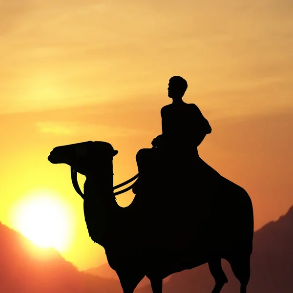一只骆驼的人 免版税图库图片