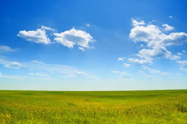 stock image Crystal blue sky