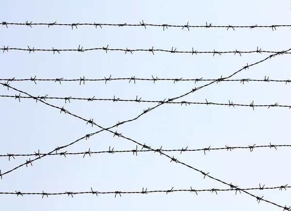 Järn-wire hedge — Stockfoto