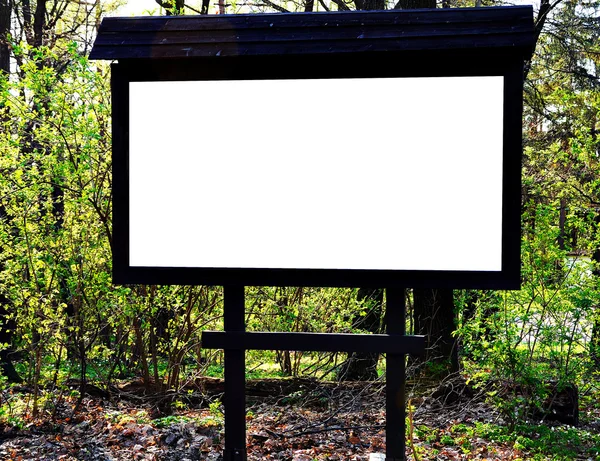 Notice board in the forest — Stock Photo, Image
