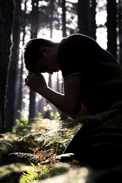Homem ajoelhado orando na floresta — Fotografia de Stock