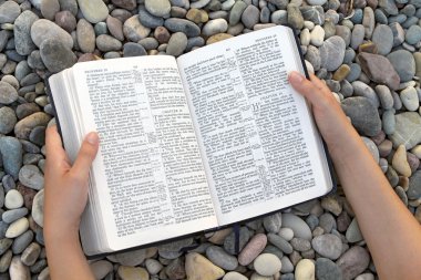 Female hands holding open Bible clipart