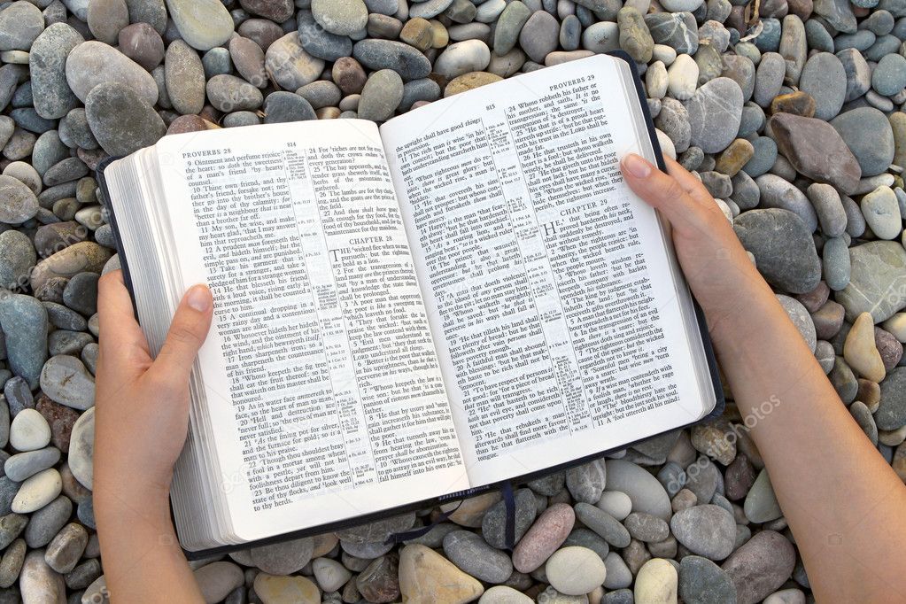 Female hands holding open Bible