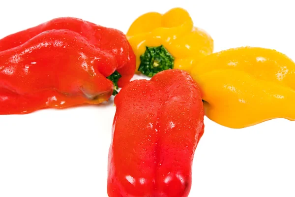 Colorful peppers Royalty Free Stock Images