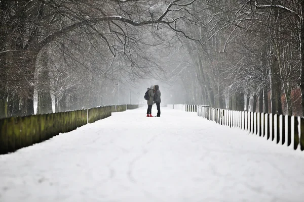 stock image Romantic Winter