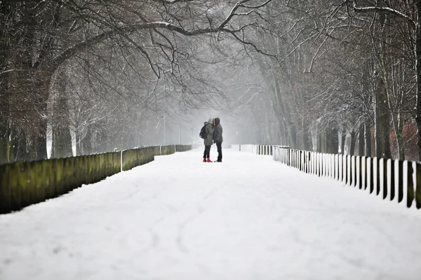 Romantische winter Rechtenvrije Stockfoto's