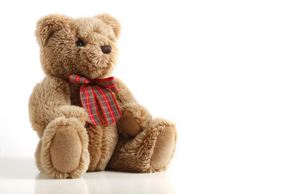 Teddy Bear — Stock Photo, Image