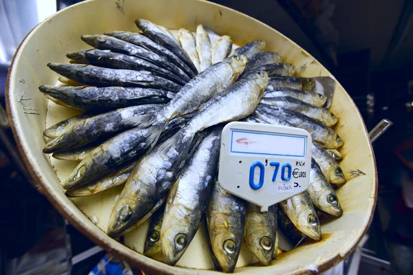 Sušené sardinky — Stock fotografie