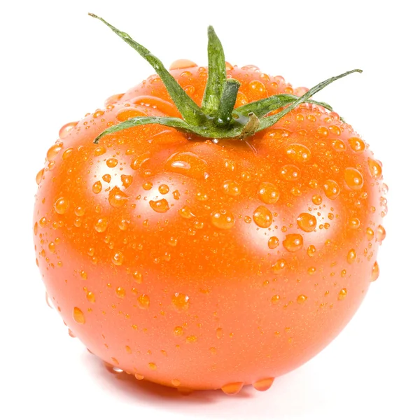 Wet tomato on a white background — Stock Photo, Image
