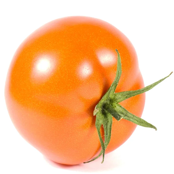 Rode tomaat op een witte achtergrond — Stockfoto