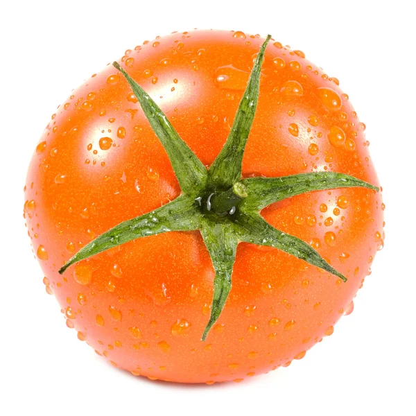 Våt tomat på vit bakgrund — Stockfoto