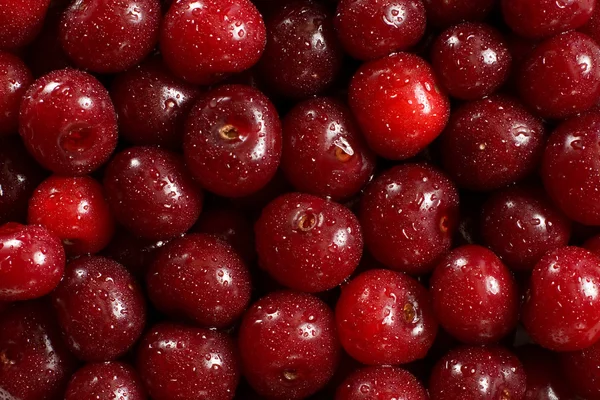 Wet red cherries — Stock Photo, Image